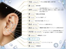 ヴァン カウンシル 川中島店(VAN COUNCIL)/耳ツボジュエリー