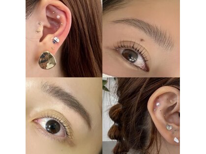 カランコエ(Kalanchoe)の写真