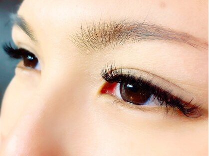 イリス(IRIS)の写真