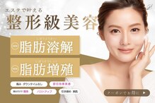 パピヨン(Papillon)