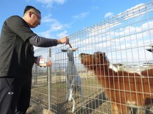 モンゴル式リラクゼーション　癒しのおうち/可愛い動物がお出迎え