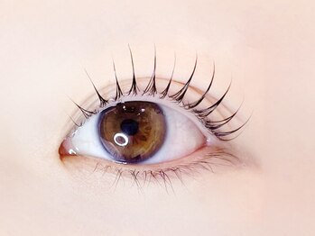 リノ カヒリ アイラッシュ(Lino kahili)/ラッシュリフト