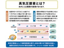 クレセント 成城(CRESCENT)/高気圧酸素のしくみ