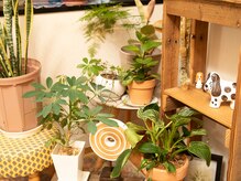 アイラッシュサロン リリィ(EYELASH SALON Lily)/おうちのように