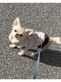 メンズ ネイル トノ(Men's Nail TONO) 愛犬とお散歩やカフェに行くのが趣味です♪