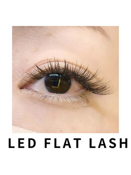 フランキンセンス 成田店/LEDフラットラッシュ