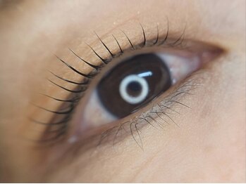 モゼ(MOZE)の写真/短い・細い・少ないまつげに悩む方へ◎まつげパーマで自まつげにハリと存在感を与え魅力的な目元へ♪