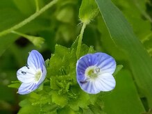 リラクゼーション整体 りめいくの雰囲気（足つぼもおススメ♪ぐぃ～っとほぐします。）