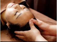 中国気功整体院 駅前第1ビル店/ドライヘッド