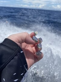 オフ込90分コース