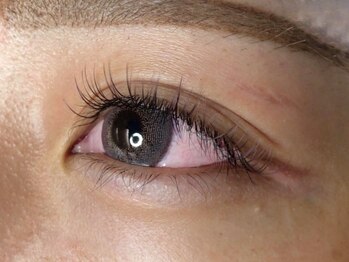 ウルカ アイラッシュ(uruka EYELASH)/フラットラッシュブラウン 100本