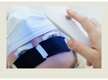 シュガー ラッシュ(Sugar lush)/