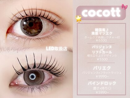 ココット(cocott)の写真