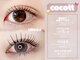 ココット(cocott)の写真