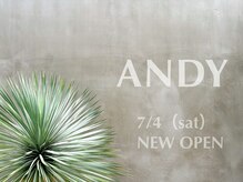 ANDY　【アンディ】