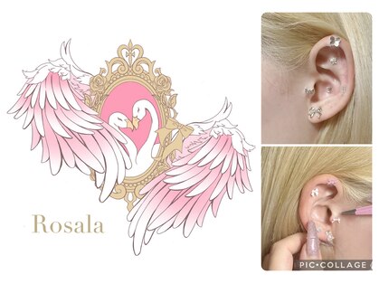 ロザーラ(Rosala)の写真