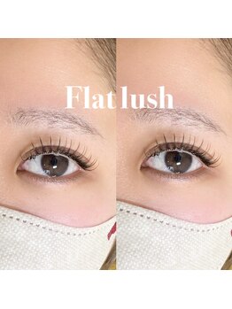 リコ(Rico)/フラットラッシュ120本