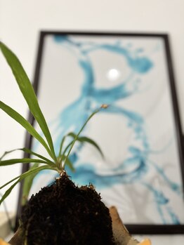 ブルーム(B.LOOM)/県庁イベント記念品