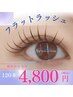 ◎11月限定/持続力UP◇フラットラッシュ120本¥6300→¥4800(LED+1000円)