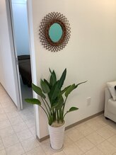 モアロ(MOARO)/MOARO【モアロ】