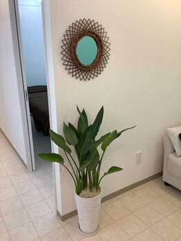 モアロ(MOARO)/MOARO【モアロ】