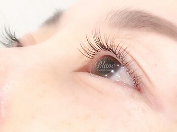 アイラッシュサロン ブラン イオンモール久御山店(Eyelash Salon Blanc)/ シングル/セーブル級
