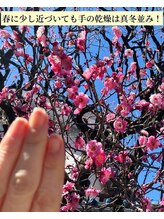 桃の木 吉祥寺店/自爪散歩　梅