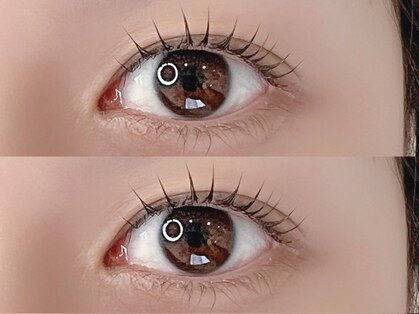 ムーア(mua)の写真