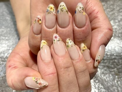 プロテア(protea)の写真