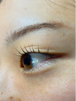 ティアーズ253150(TEARS253150)/下まつげパーマ　