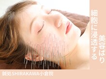 シラカワ 小倉院(SHIRAKAWA)