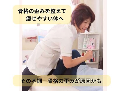 シュシュの写真