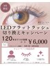 【リピーター様限定】LEDフラットラッシュ切り替えキャンペーン＊