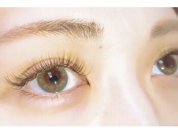 アムール(AMOUR)/フラットラッシュ１４０本