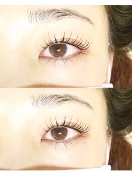 シーペアー(Sea pear)/メーテルカール