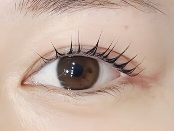 ラミア(LaMia)/らっしゅりふと。