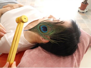 静心リラクゼーション/-耳かき/耳つぼ/イヤーエステ-