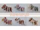 プライベートネイルサロン ラグーン(private nailsalon Lagoon)の写真