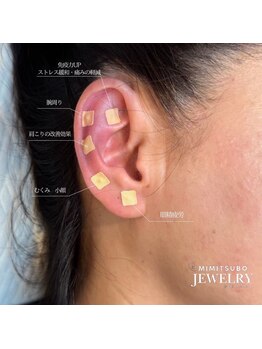 フルアナ(Hu ruana)/耳ツボジュエリー