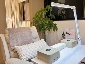 リリウム(LILIUM)/内観