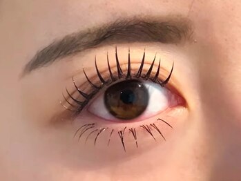 ショウイー 本店(Showy)の写真/【どこよりもお得につけ放題♪90分Lカールフラット7200円/フラット90分6000円】リピート率最高老舗サロン！