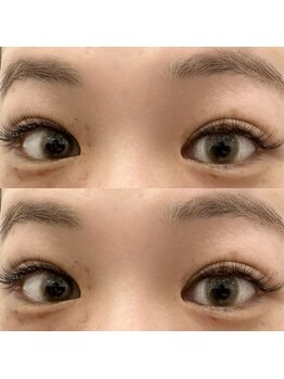 バニーアイズ 天神(Bunny eyes TENJIN)/ボリューム300本（100束）