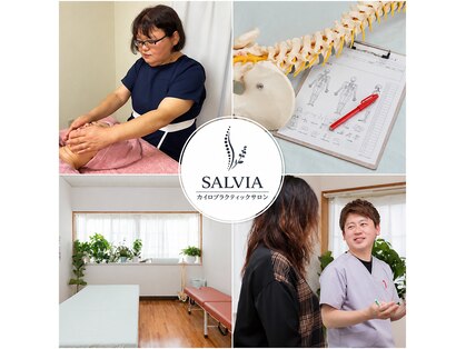 サルヴィア(SALVIA)の写真