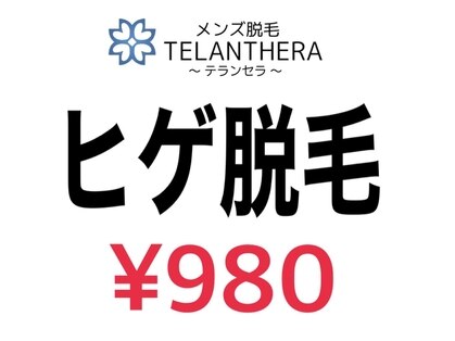 テランセラ(TELANTHERA)のメインフォト01