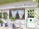 ミュゲ(Muguet)の写真