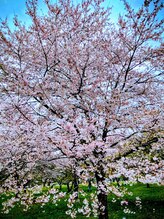 リラクゼーション整体 りめいく&nbsp;松本 