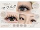 ルアーシル(Lurecil)の写真