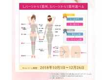 レインボーローズ(Rainbow rose)/価格