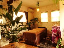 ジャングルサロン(Jungle Salon)