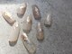 リルネイル(Lil Nail)の写真